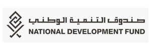 national development fund logo idev government client providing them with digital solutions